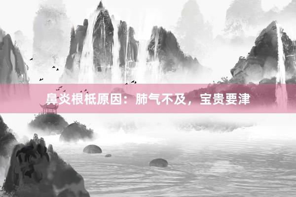 鼻炎根柢原因：肺气不及，宝贵要津