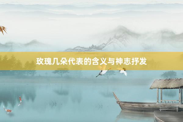 玫瑰几朵代表的含义与神志抒发