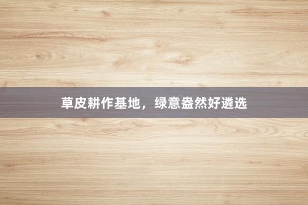 草皮耕作基地，绿意盎然好遴选